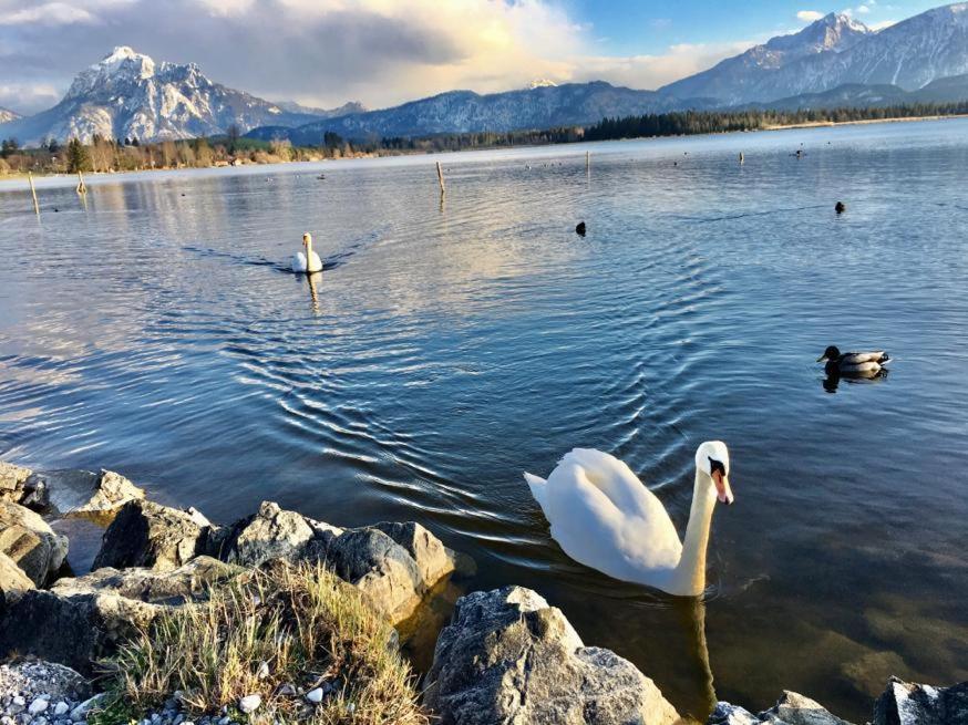 Hotel Fischer Am See Füssen Zewnętrze zdjęcie